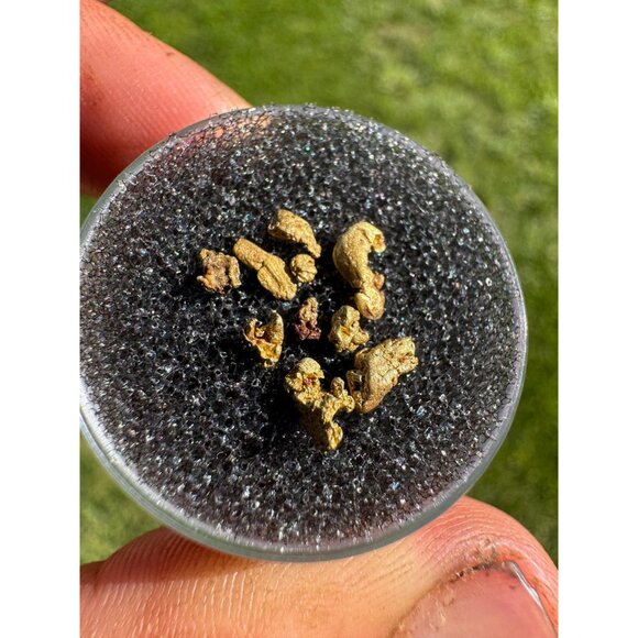 Gold Nuggets from California - 0.50 grams - Picture 4 of 4